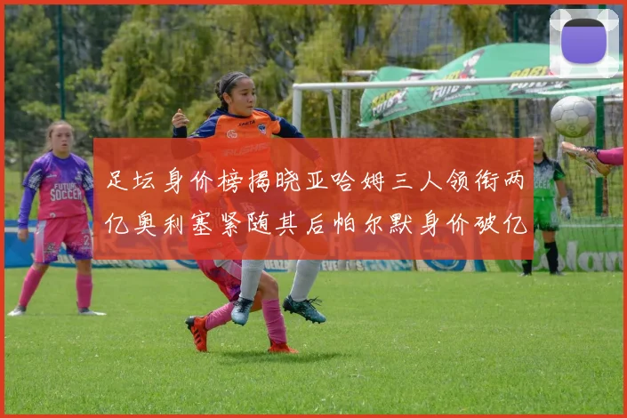 足坛身价榜揭晓亚哈姆三人领衔两亿奥利塞紧随其后帕尔默身价破亿